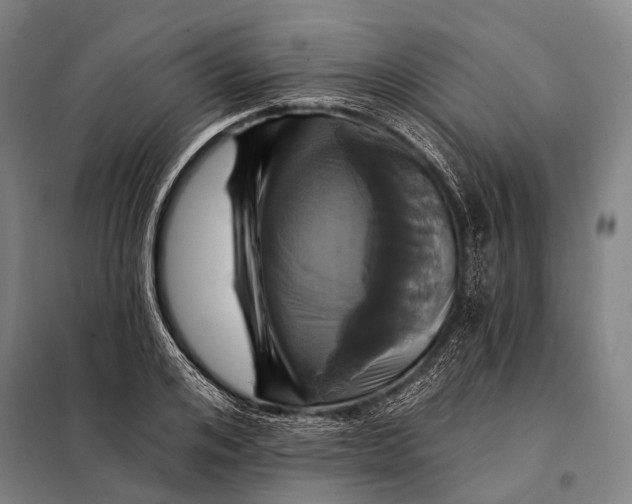 X0000097910984200804041457