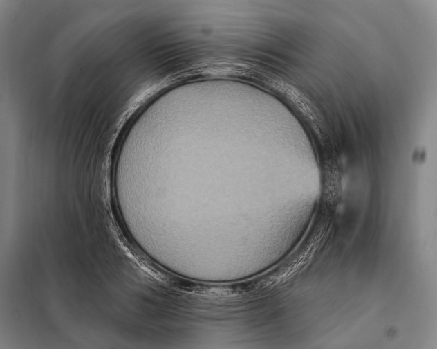 X0000097910986200804041457