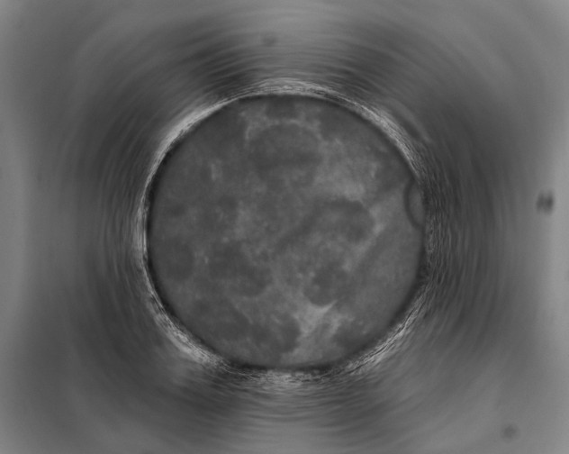 X0000097910987200804041457