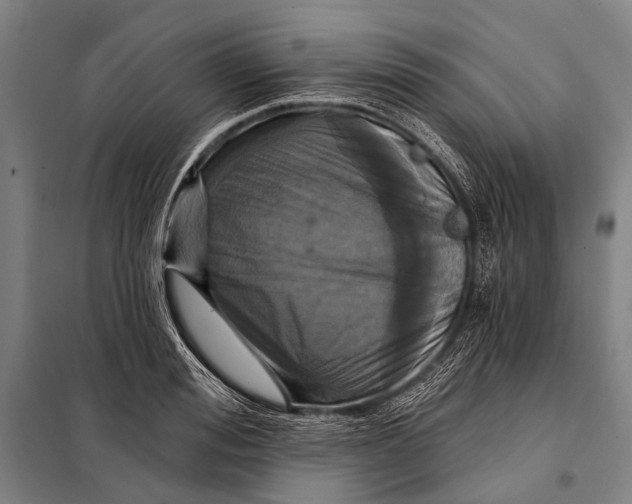 X0000097910988200804041457