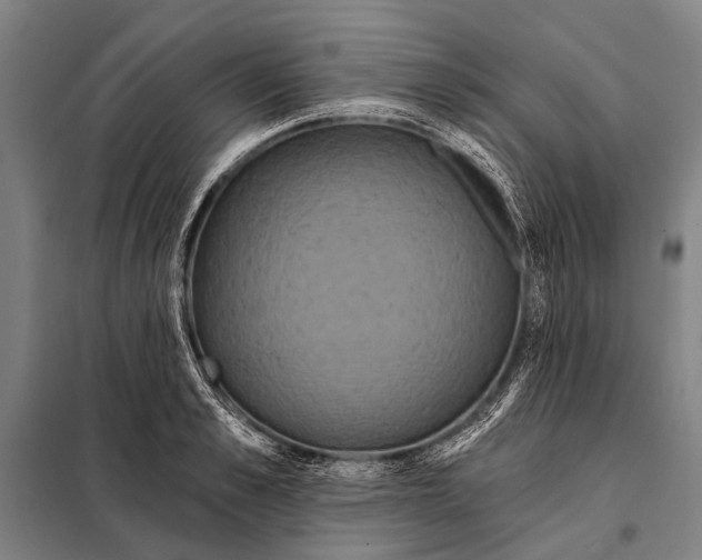 X0000097910989200804041457