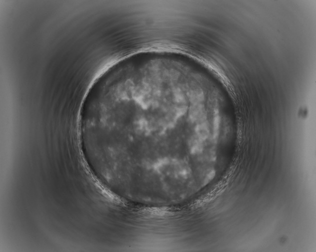 X0000097910990200804041457