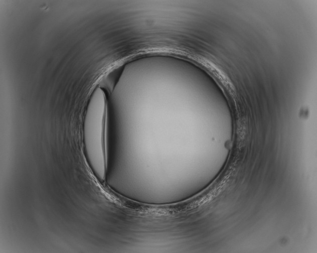 X0000097910993200804041457