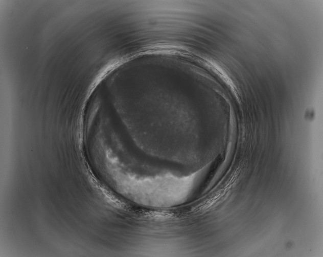 X0000097910994200804041457