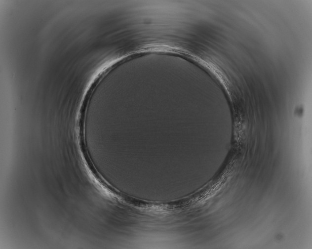 X0000097910995200804041457