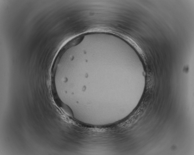 X0000097910996200804041457