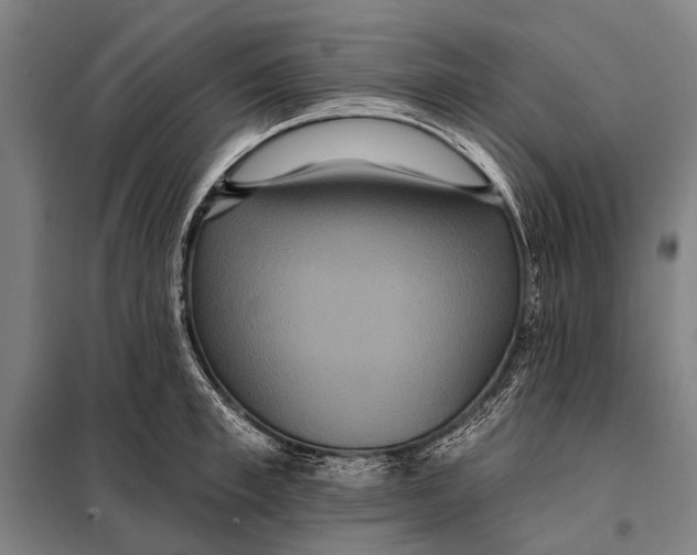 X0000097910997200804041457