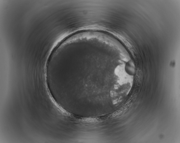 X0000097910998200804041457