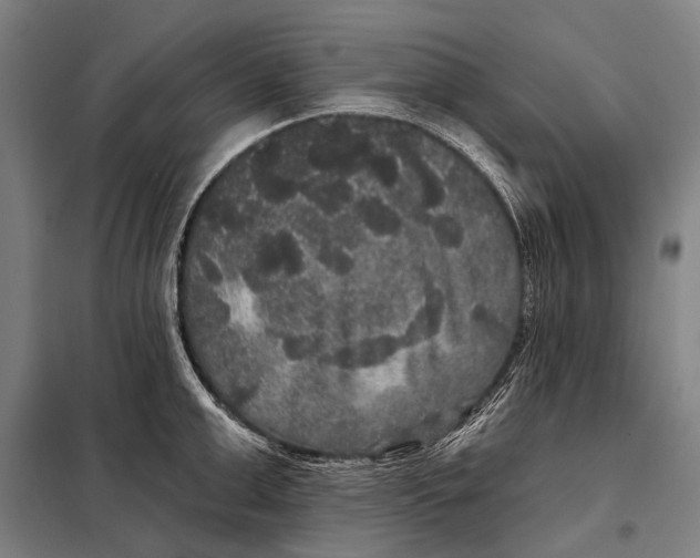 X0000097910999200804041457