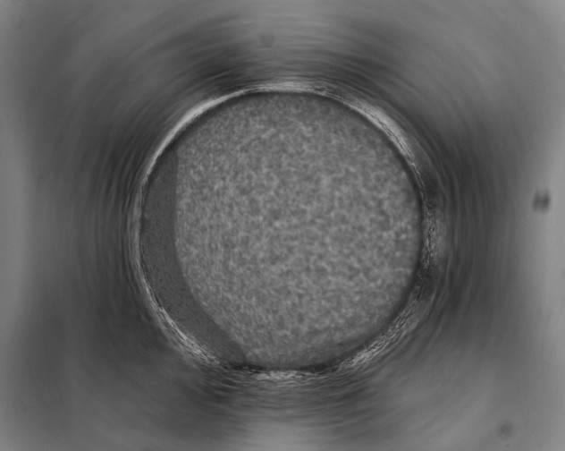 X0000097911000200804041457