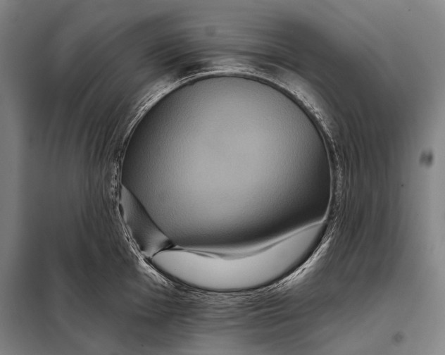 X0000097911001200804041457