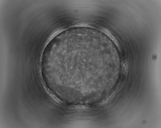 X0000097911002200804041457