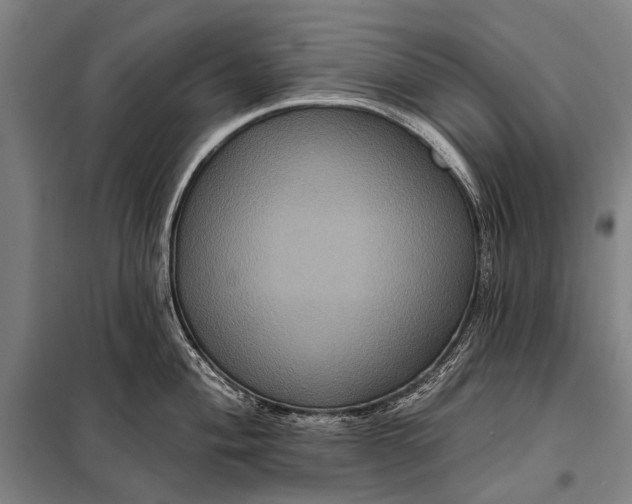 X0000097911004200804041457