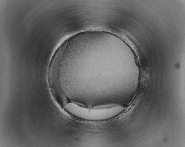 X0000097911005200804041457