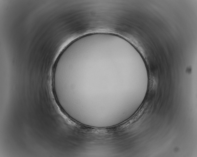 X0000097911006200804041457