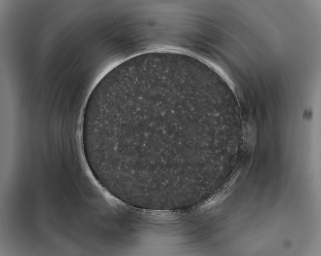 X0000097911007200804041457