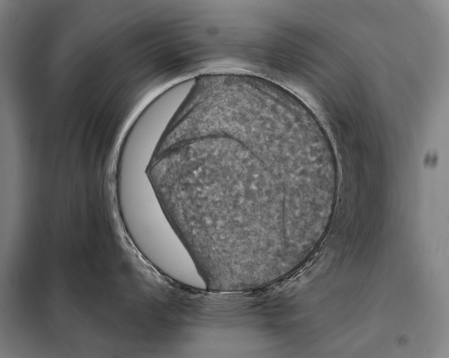 X0000097911008200804041457