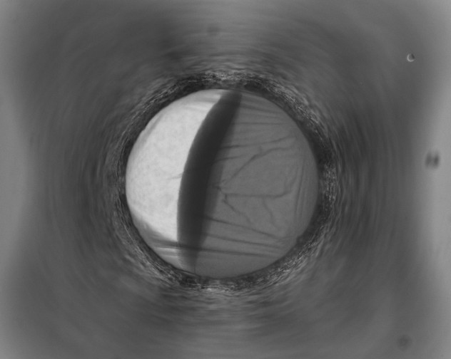 X0000097911009200804041456