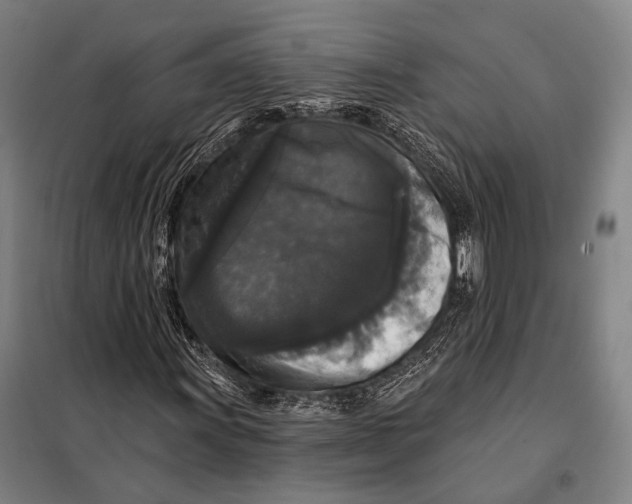 X0000097911011200804041456