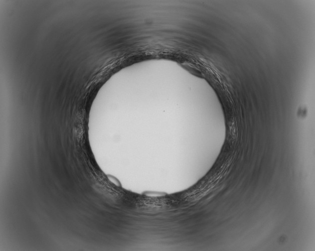 X0000097911012200804041456