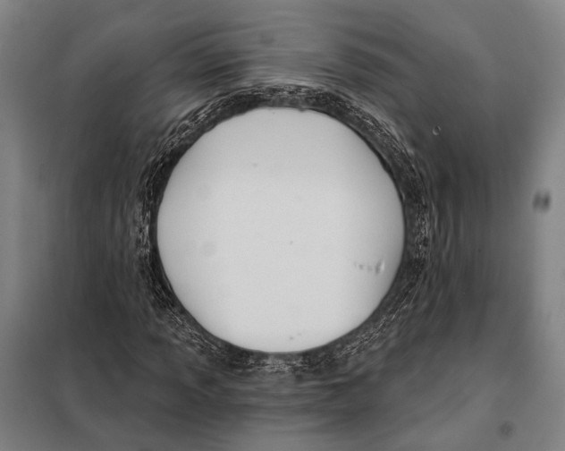 X0000097911013200804041456