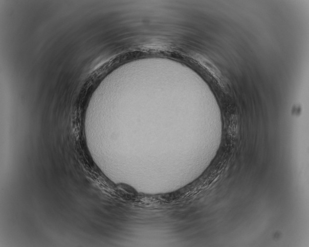 X0000097911015200804041456