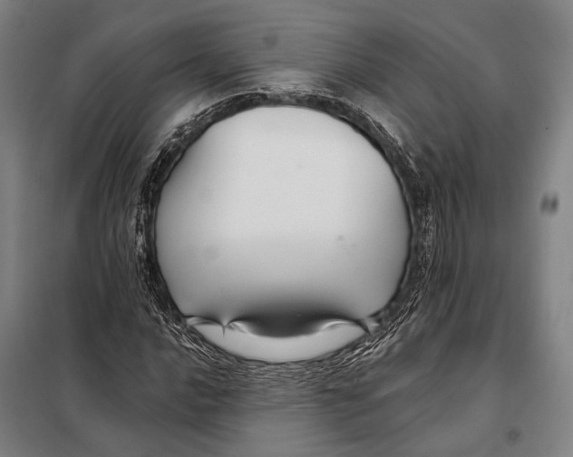 X0000097911016200804041456