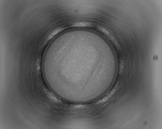 X0000097911017200804041456