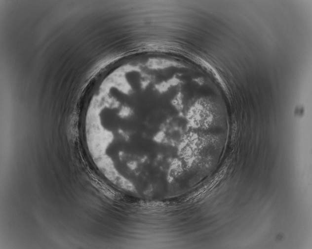 X0000097911019200804041456