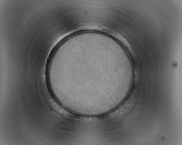 X0000097911020200804041456