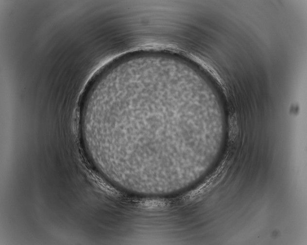 X0000097911021200804041456