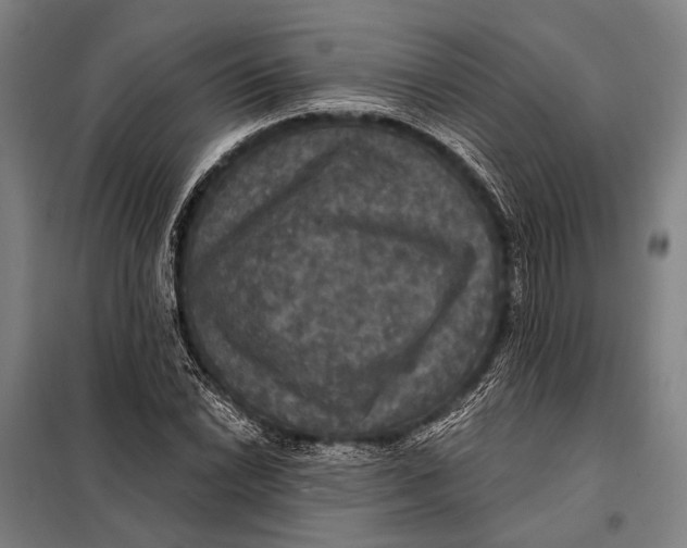 X0000097911022200804041456