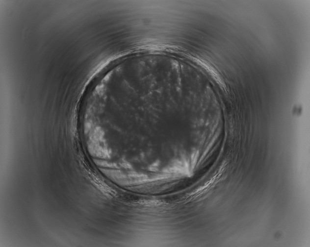 X0000097911023200804041457