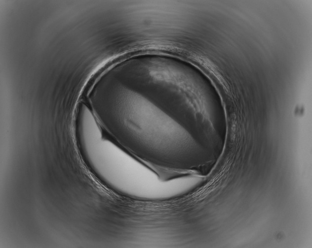 X0000097911024200804041457