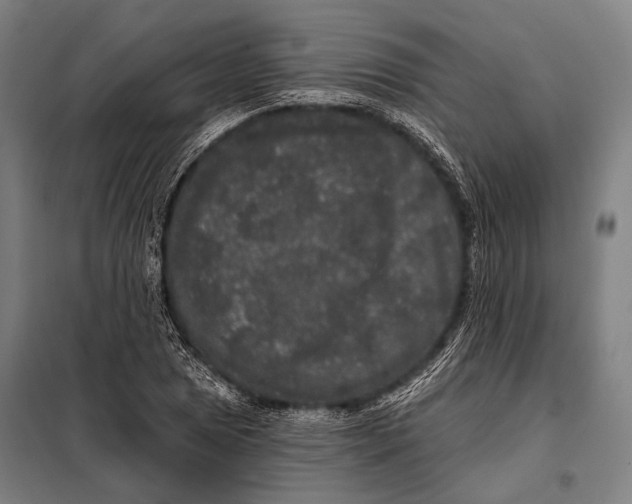 X0000097911025200804041457