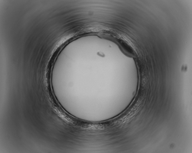 X0000097911026200804041457