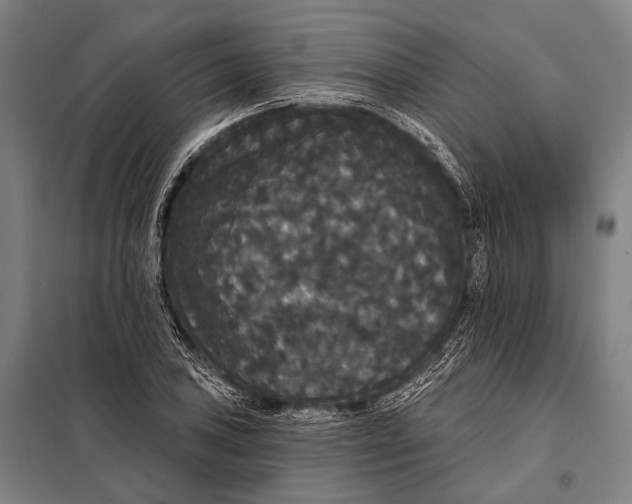 X0000097911027200804041457