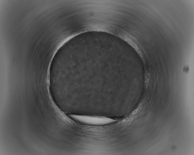 X0000097911028200804041457