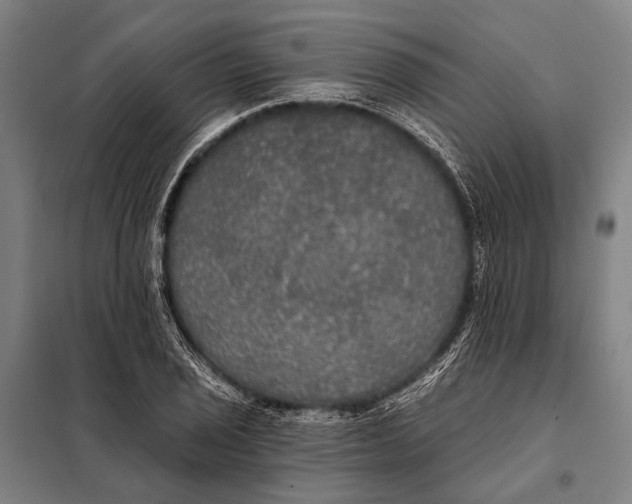 X0000097911029200804041457