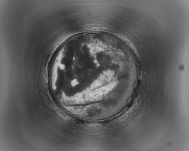 X0000097911031200804041457