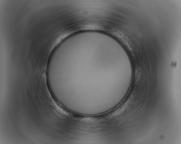 X0000097911033200804041457