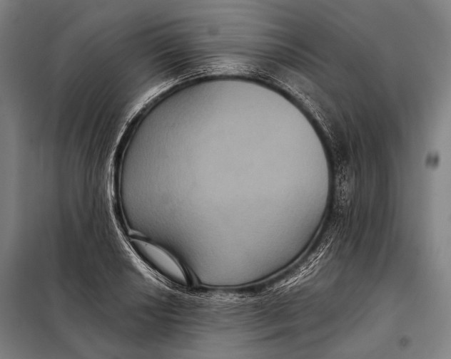 X0000097911034200804041457