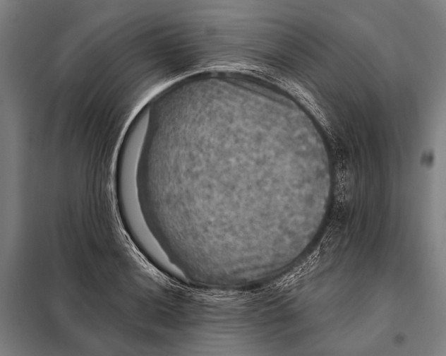 X0000097911036200804041457