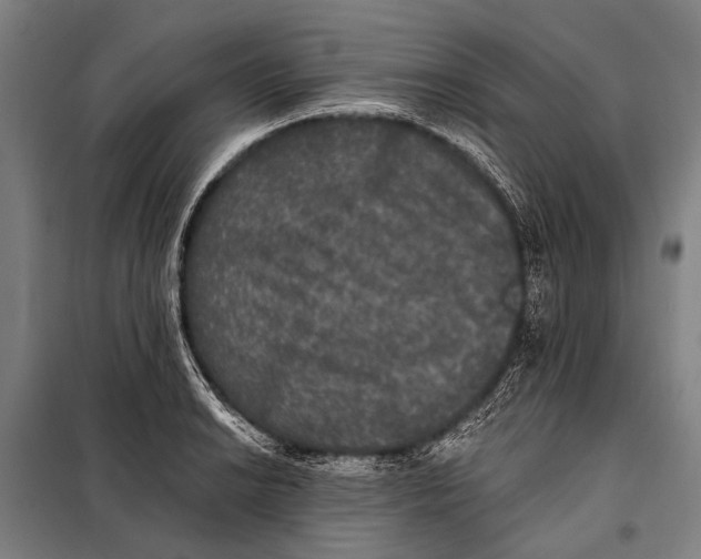 X0000097911038200804041457