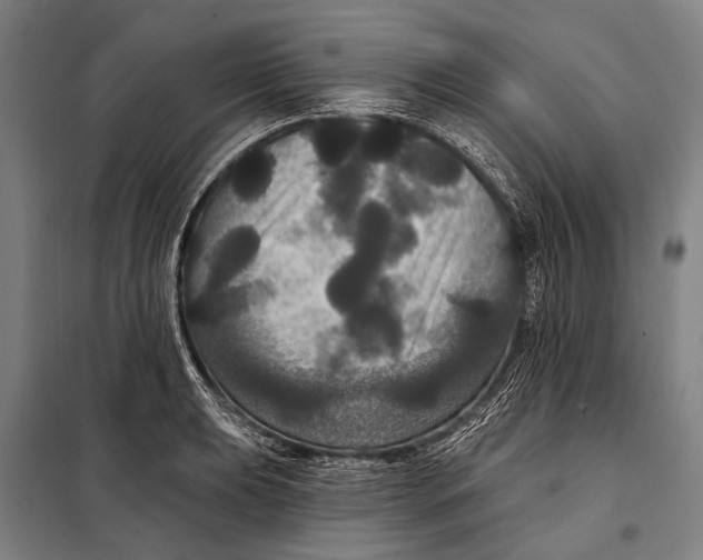 X0000097911039200804041457