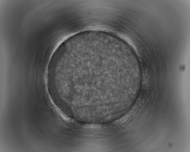 X0000097911040200804041457