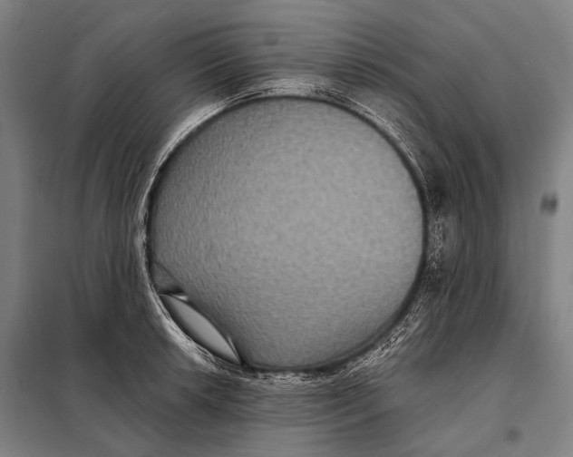 X0000097911042200804041457