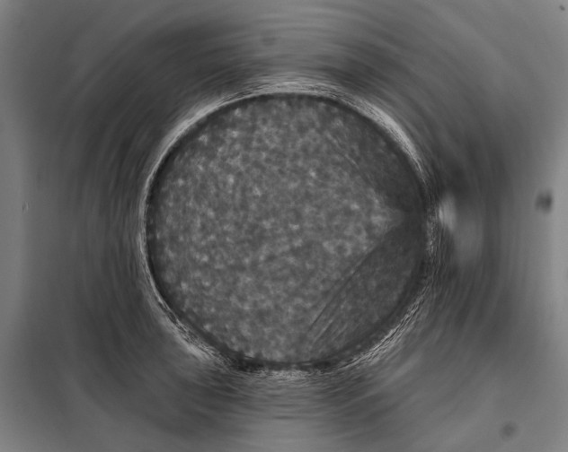 X0000097911043200804041457