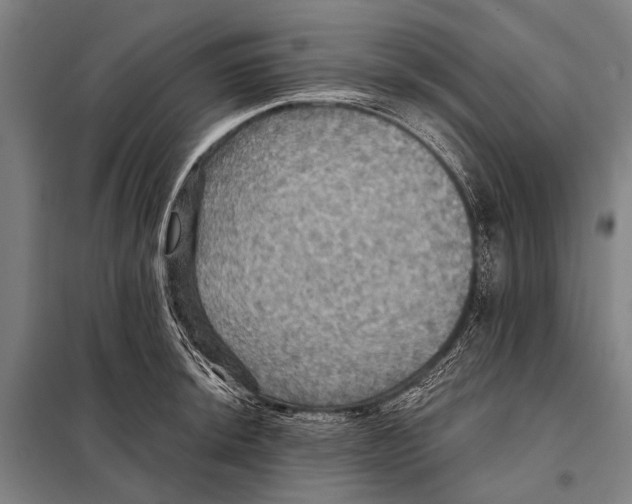 X0000097911044200804041457