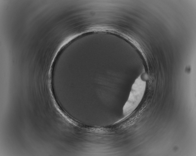 X0000097911045200804041457